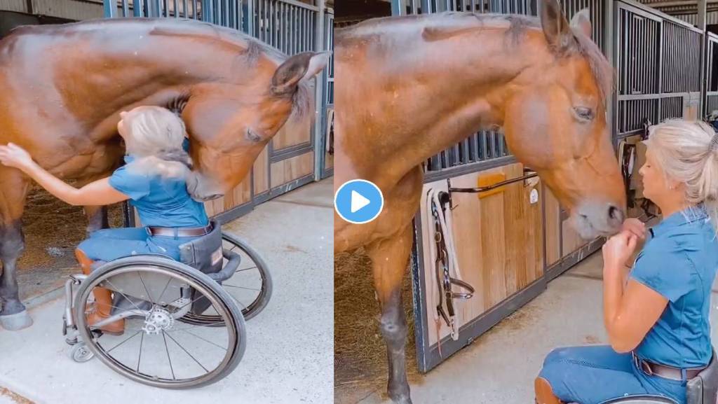 Horse-Video-Viral