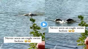Eagle-Viral-Video