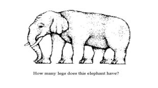 Optical Illusion Elephant Legs