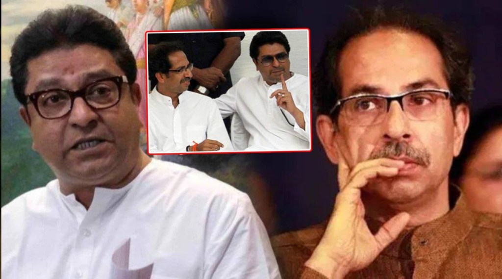 Raj And Uddhav Thackeray