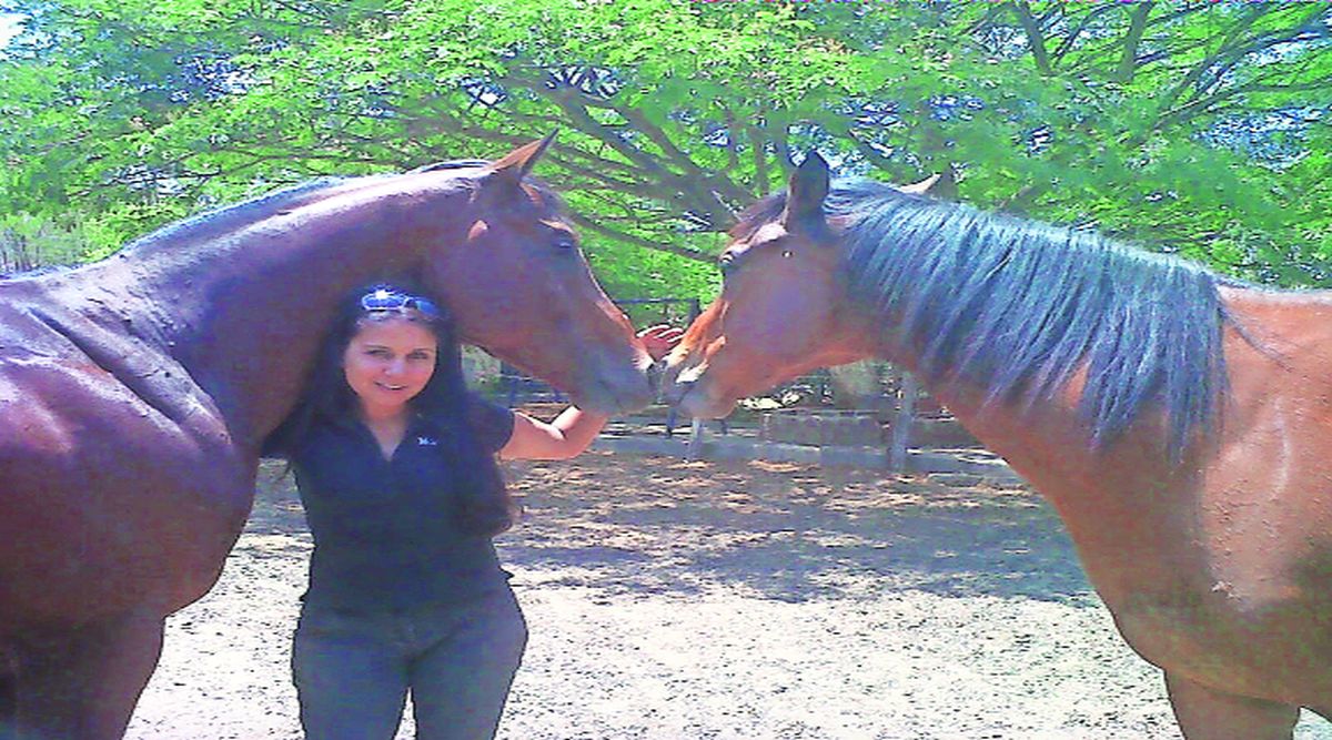 सोयरे सहचर: ‘‘आश्वस्त अश्वारूढ मी..’’ | confident horseman horses Memories Equestrian Mountain rangedense vegetation Track amy 95