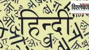 hindi language usage