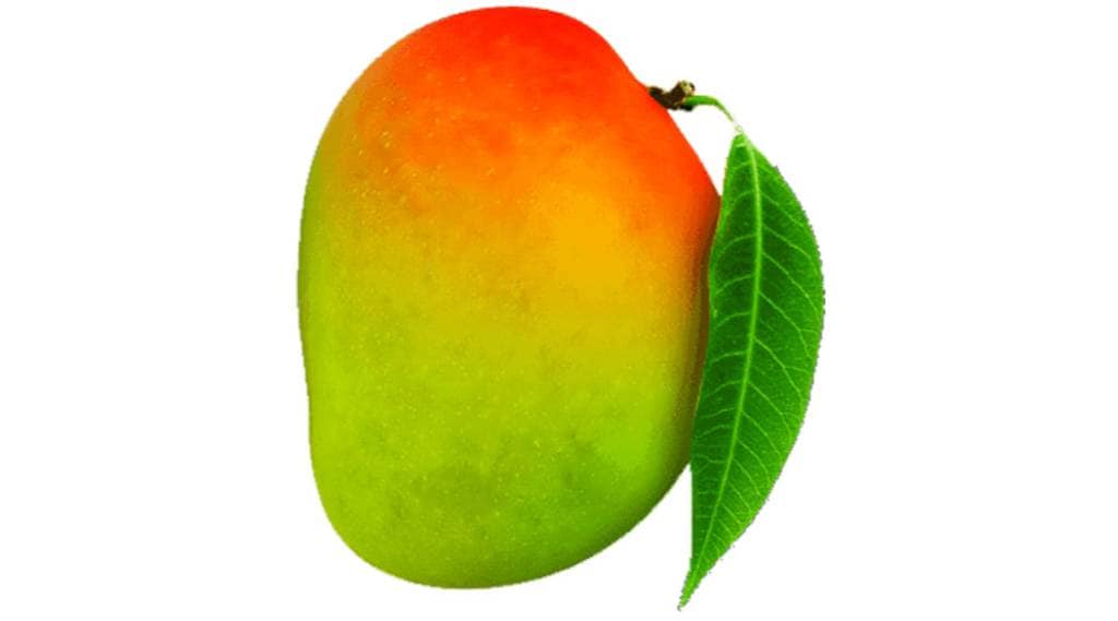 mango