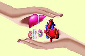 organ donation is very low In Maharashtra