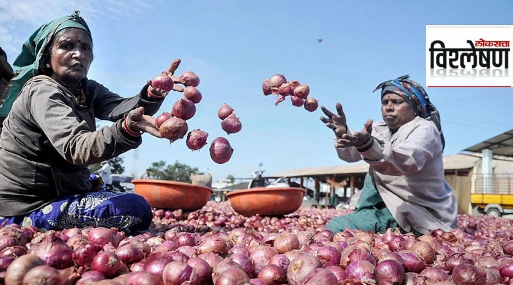 onion price