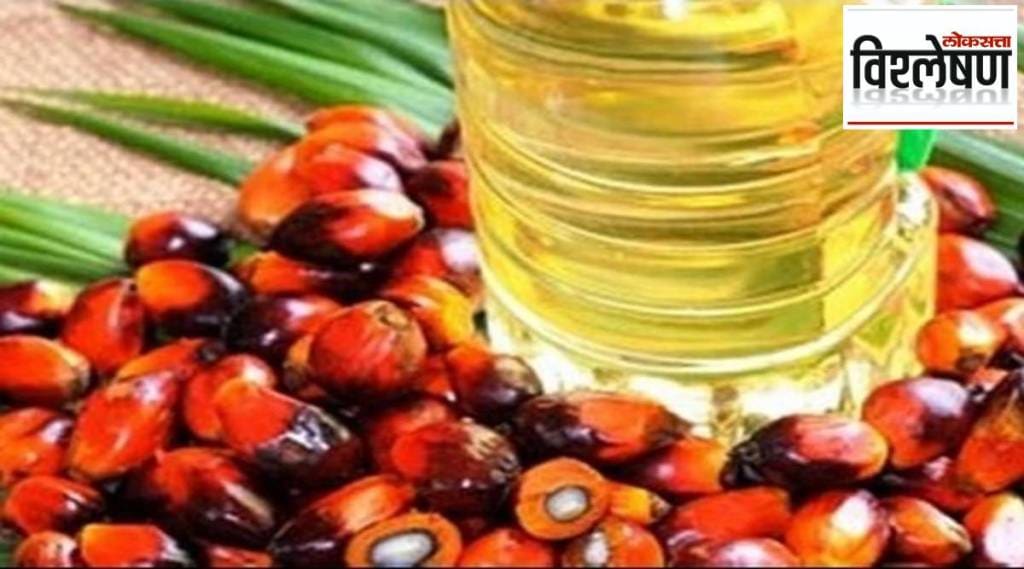 palm oil in indonesia