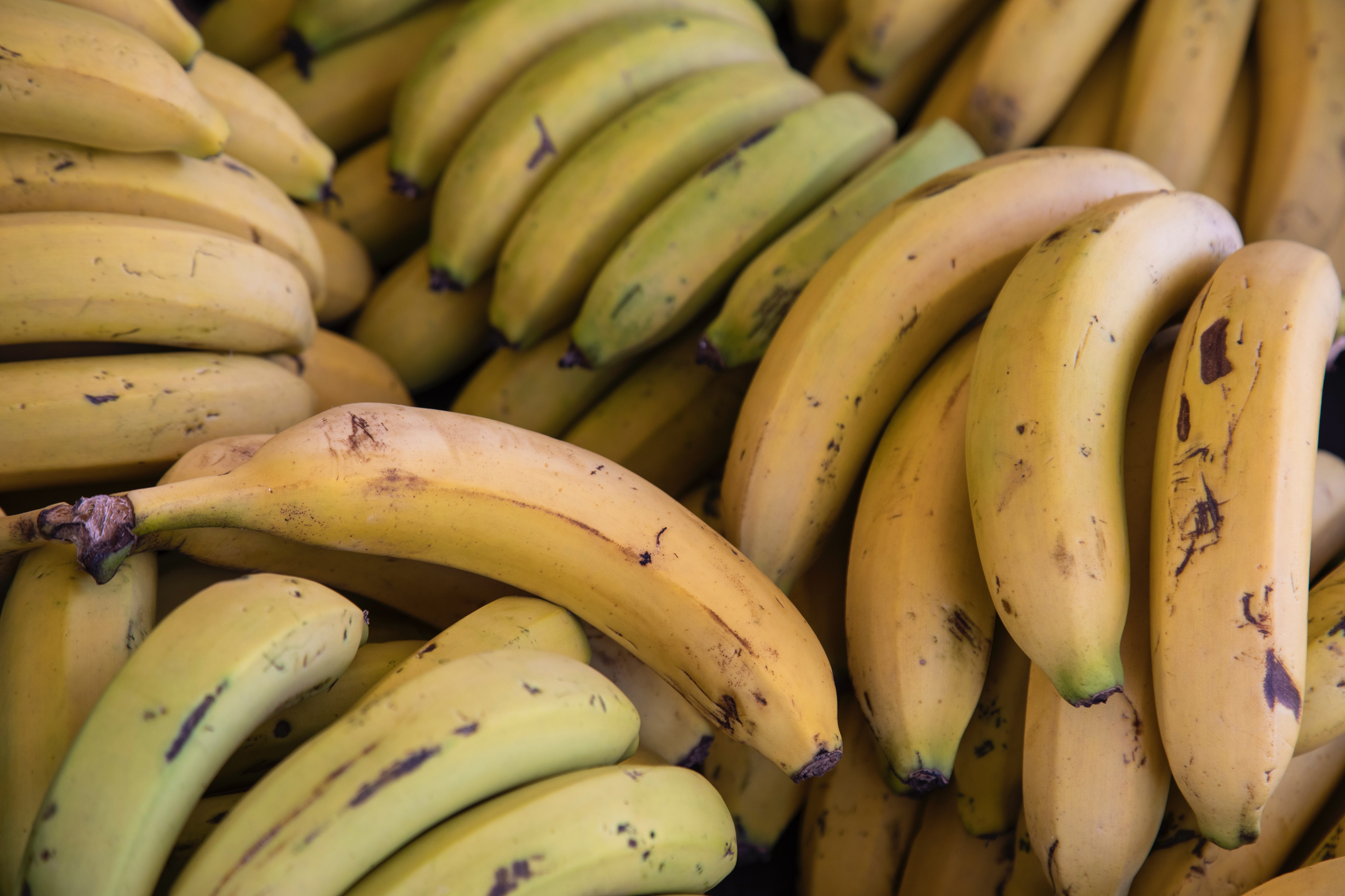 मोठ्या प्रमाणात केळी खाल्ल्याने रक्तातील पोटॅशियमची पातळी वाढू शकते. त्याचबरोबर काही लोकांना केळी खाण्याची अ‍ॅलर्जी देखील होते.