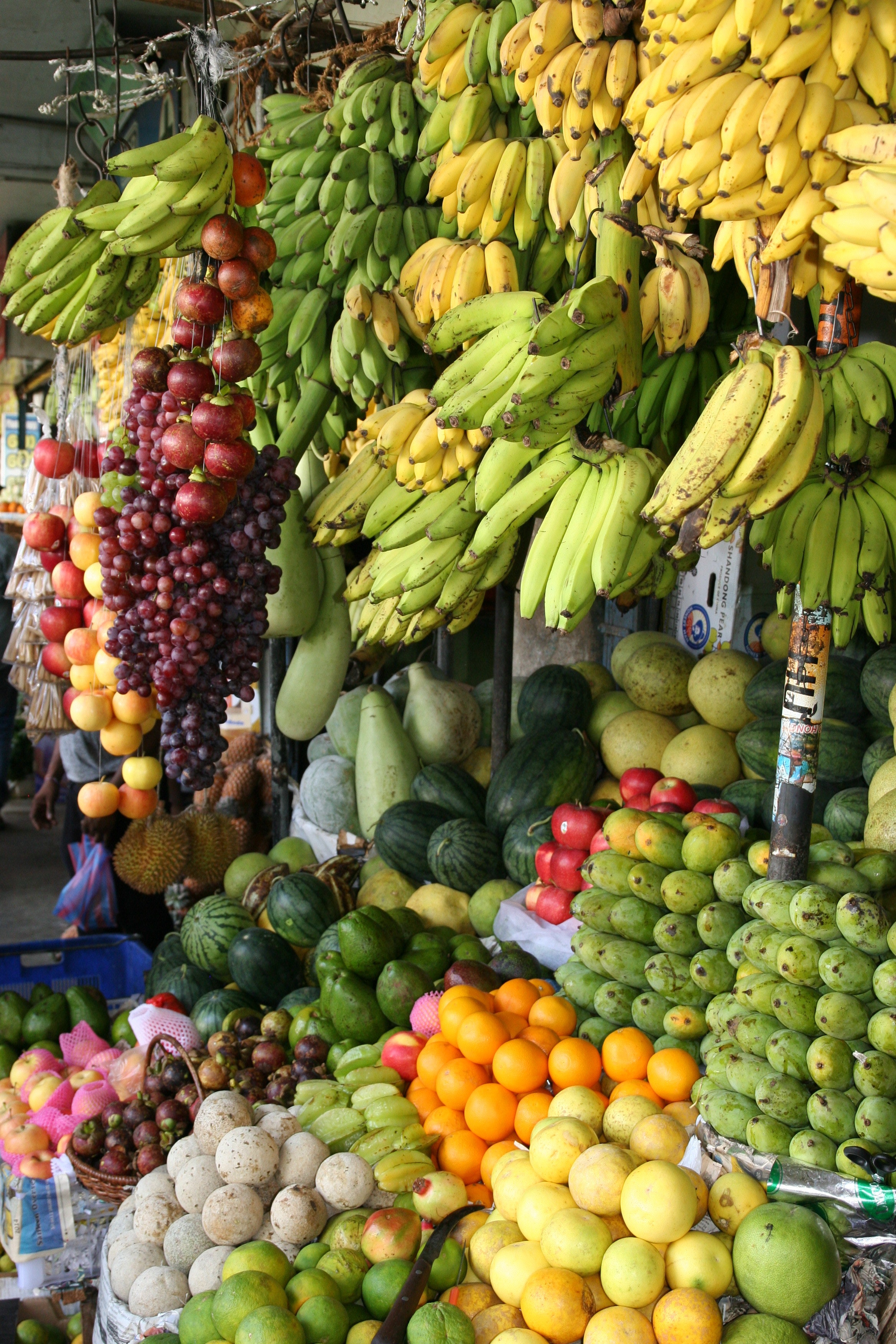 केळी हे जगातील सर्वात जुने फळ मानले जाते. हे फळ जगभरातील बहुतांश देशांमध्ये आढळते. मात्र त्याचे प्रकार सर्वत्र भिन्न आहे.