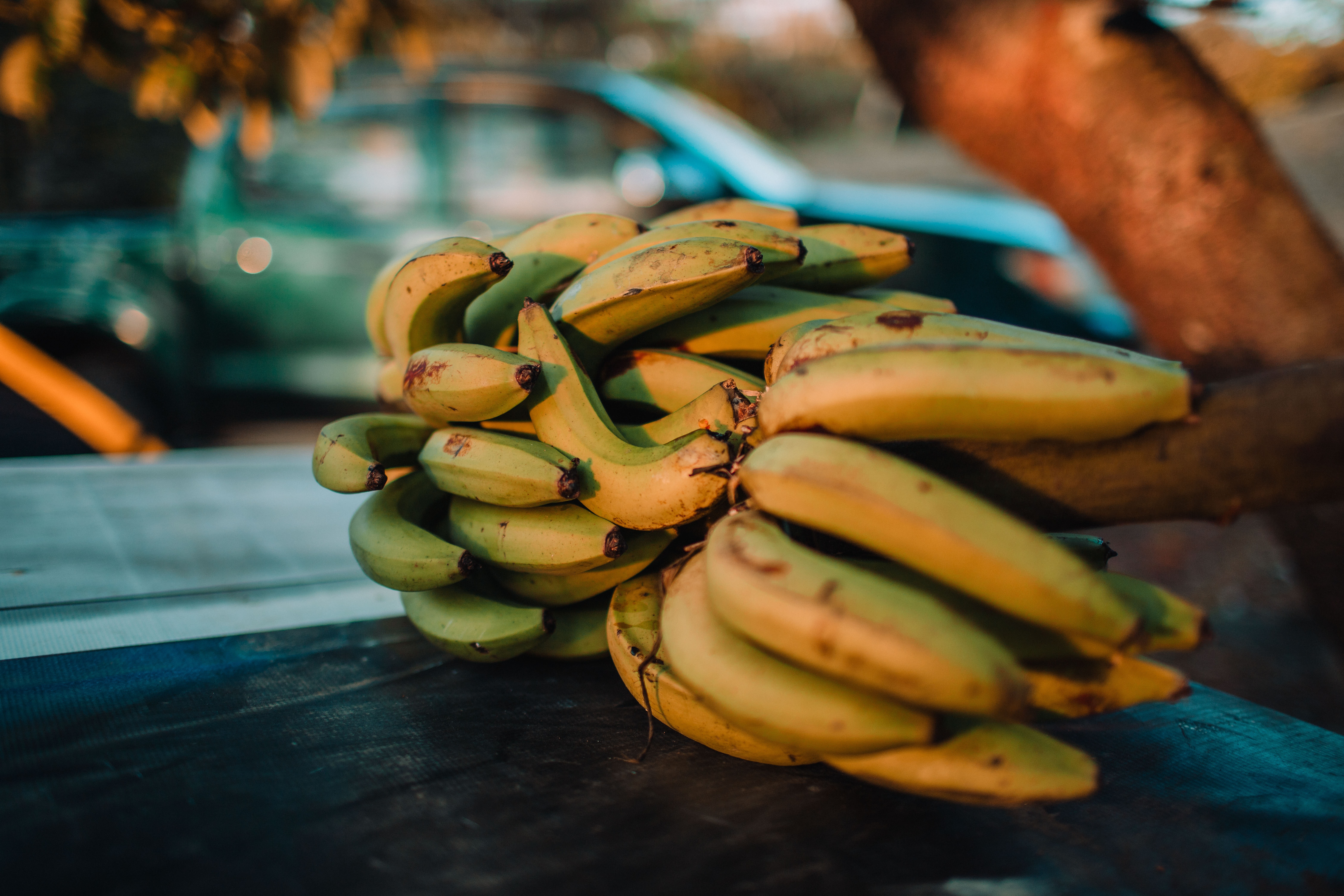 तसेच, दक्षिण भारत, बिहार आणि झारखंडमध्ये रस्थाली केळीची लागवड केली जाते. हे मध्यम आकाराचे केळे आहे.