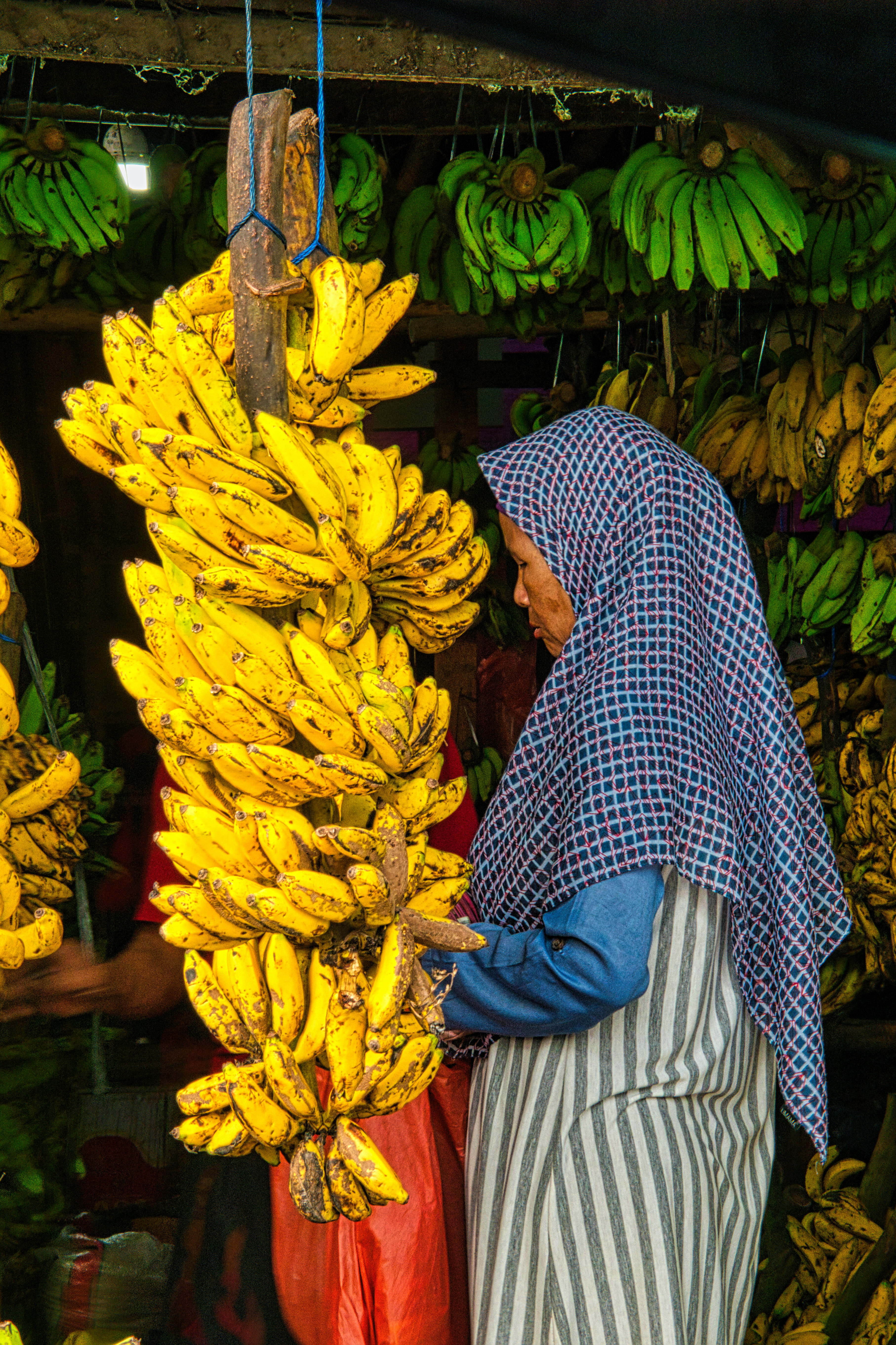 केळीचा उगम आग्नेय आशिया म्हणजे मलेशिया, इंडोनेशिया किंवा फिलीपिन्सच्या जंगलात झाला असे मानले जाते.