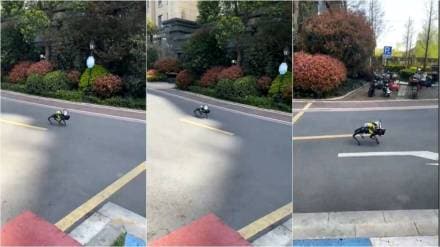 चीनच्या स्थानिक प्रशासनाने लोकांना जागरूक करण्यासाठी रोबोट कुत्र्यांचा वापर सुरू केला आहे. (photo credit: indian express)