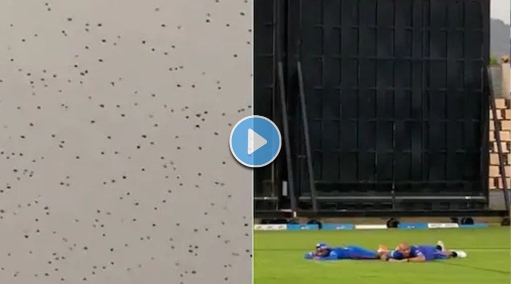 swarm of bees came during the practice session of Mumbai Indians