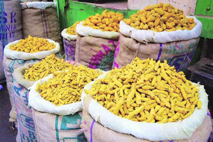 turmeric market in sangli does good business this year