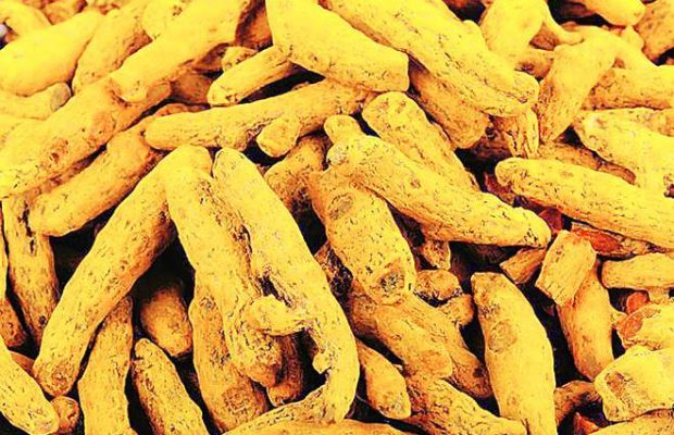 turmeric market in sangli does good business this year
