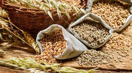barley-Chaitra-Navratri-2022