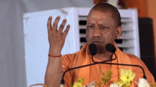 yogi