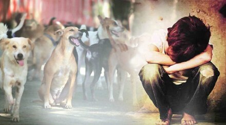धक्कादायक: आईवडिलांनीच पोटच्या मुलाला तब्बल २ वर्ष २२ कुत्र्यांसोबत ठेवले डांबून