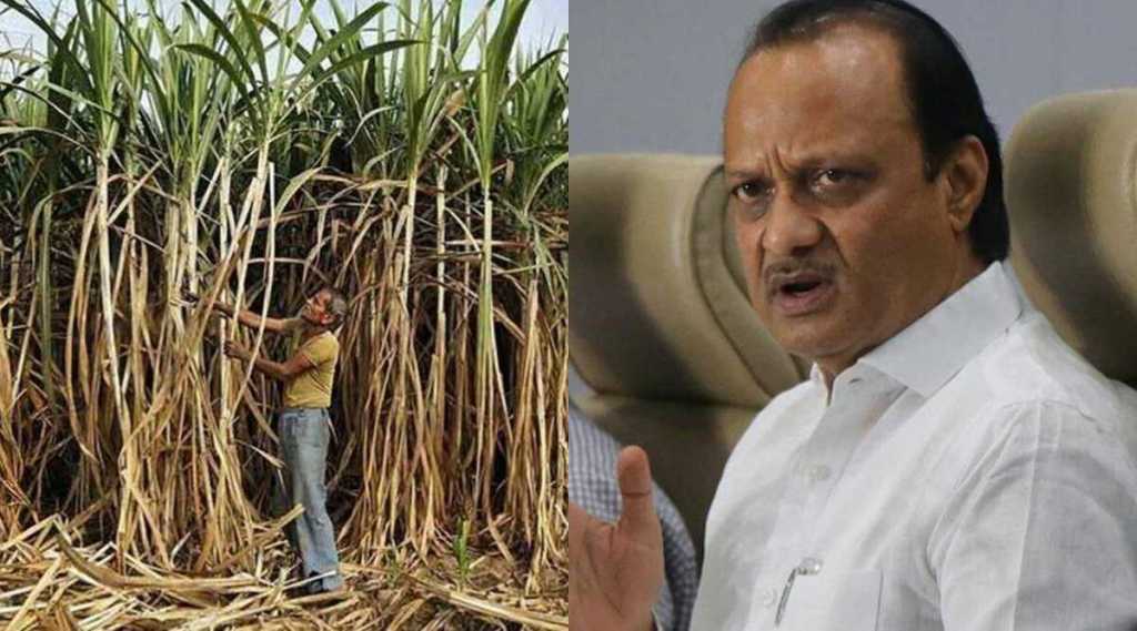 Ajit Pawar on Sugarcane