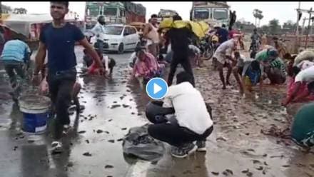 Fish-On-Road-Viral-Video
