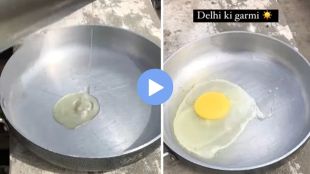 man-made-omelet-with-the-heat-of-the-sun