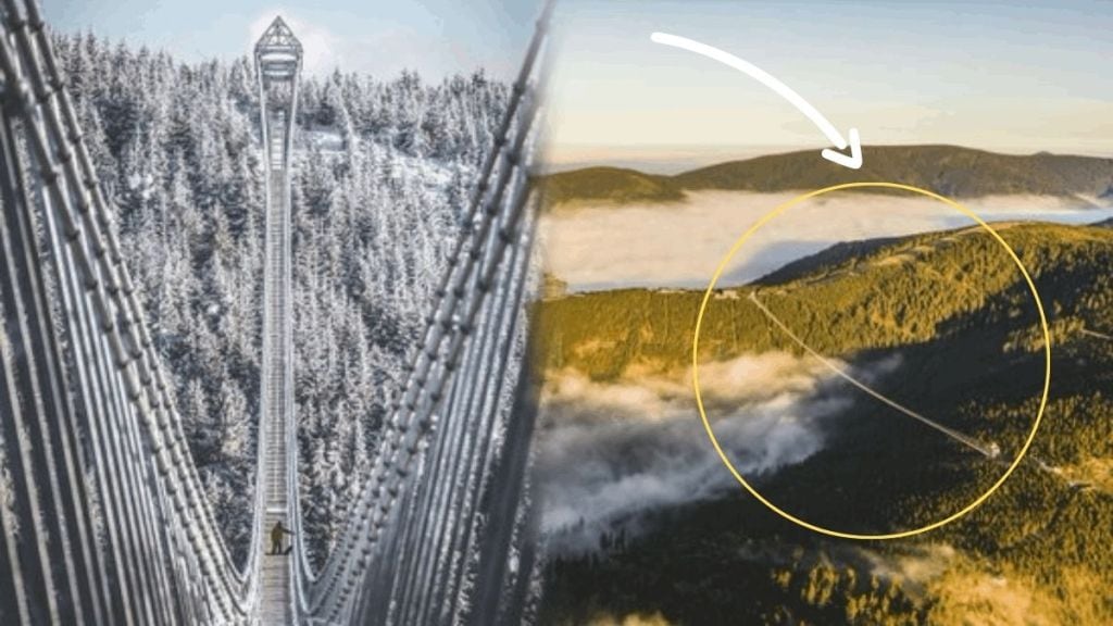 At 312 feet the world longest suspension bridge is open to tourists
