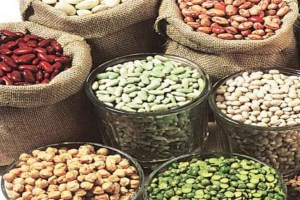 Consumption of these pulses will be beneficial for diabetic patients
