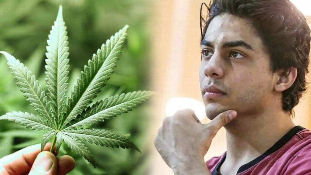 aryan khan, ganja, aryan khan drugs case