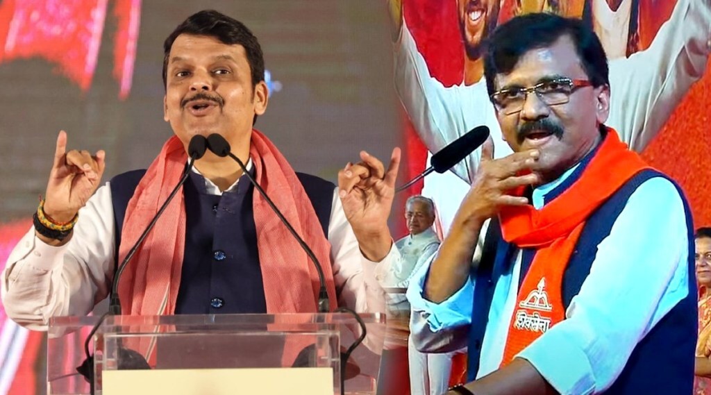 devendra fadnavis sanjay raut