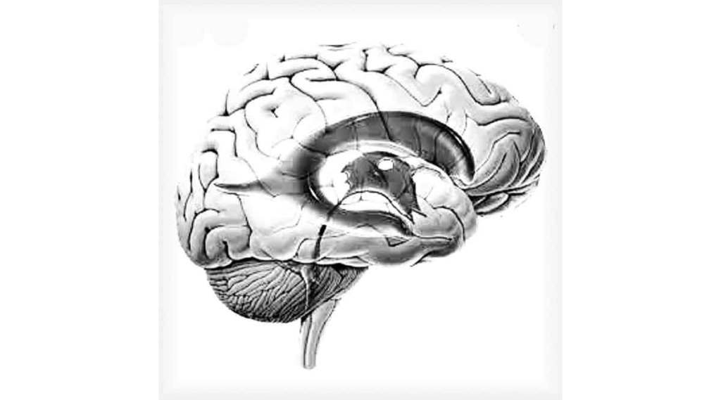  मेंदूच्या आतील पाण्याच्या पोकळ्यांची मालिका