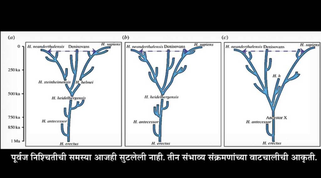 सृष्टी-दृष्टी : शोध पूर्वजरूपाचा