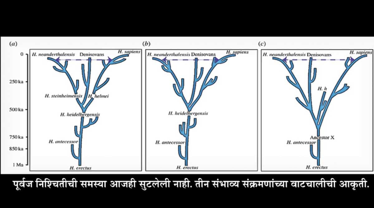 सृष्टी-दृष्टी : शोध पूर्वजरूपाचा