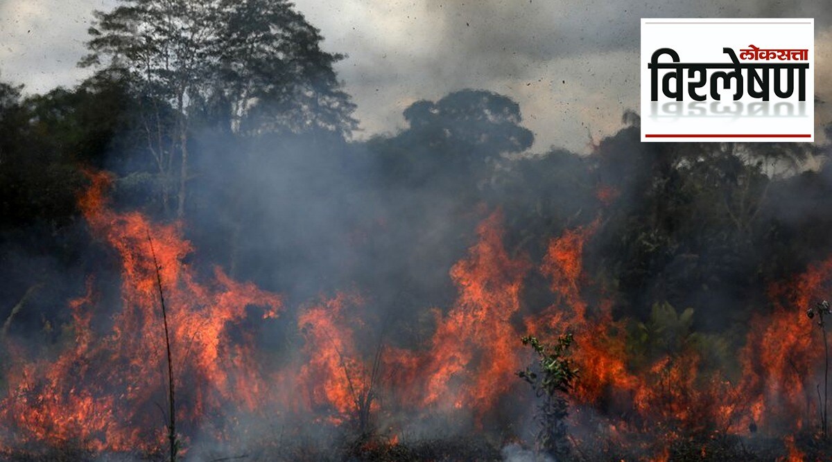 forest fire
