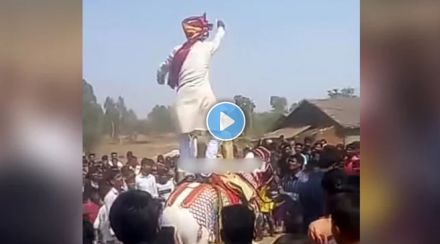 groom fell down from ghodi