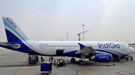 indigo airline