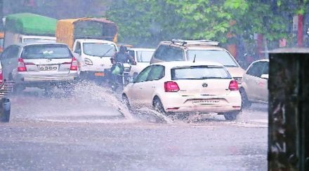 कोल्हापूर जिल्ह्यात पावसाची संततधार