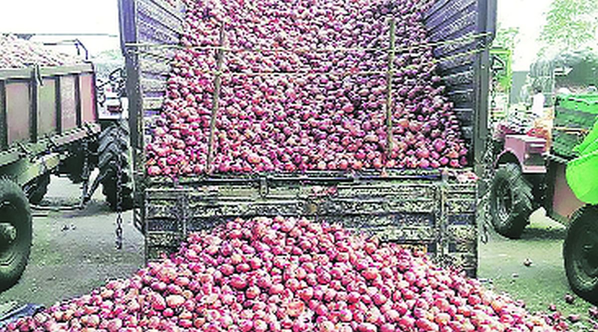 onion