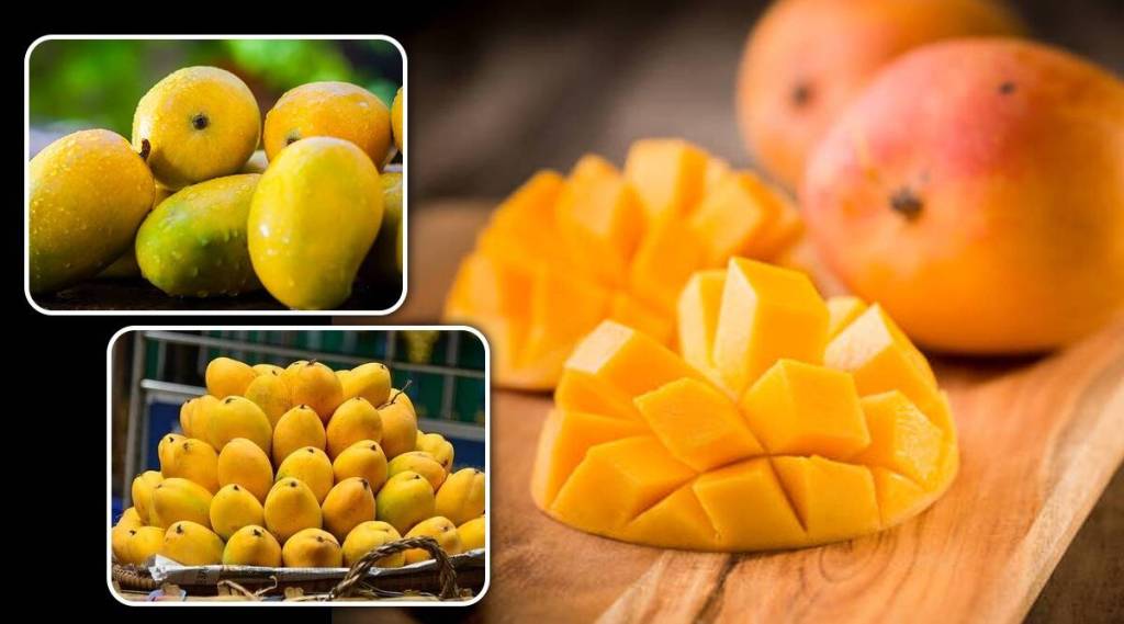 Know the correct time to eat mangoes