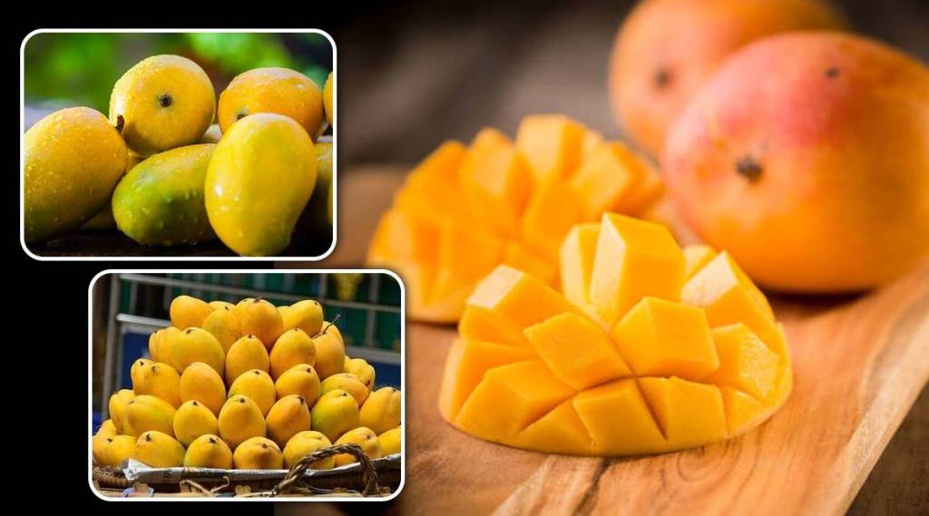 Know the correct time of eating mangoes