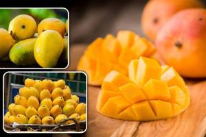 Know the correct time of eating mangoes
