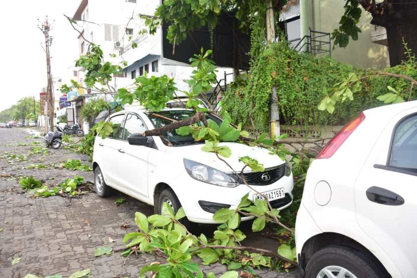झाडे कोसळ्याने काही गाड्याचे नुकसानही झाले आहे