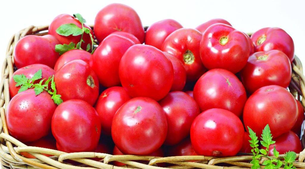 Retail prices of tomato