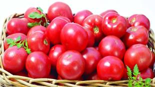 Retail prices of tomato