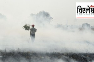 pollution