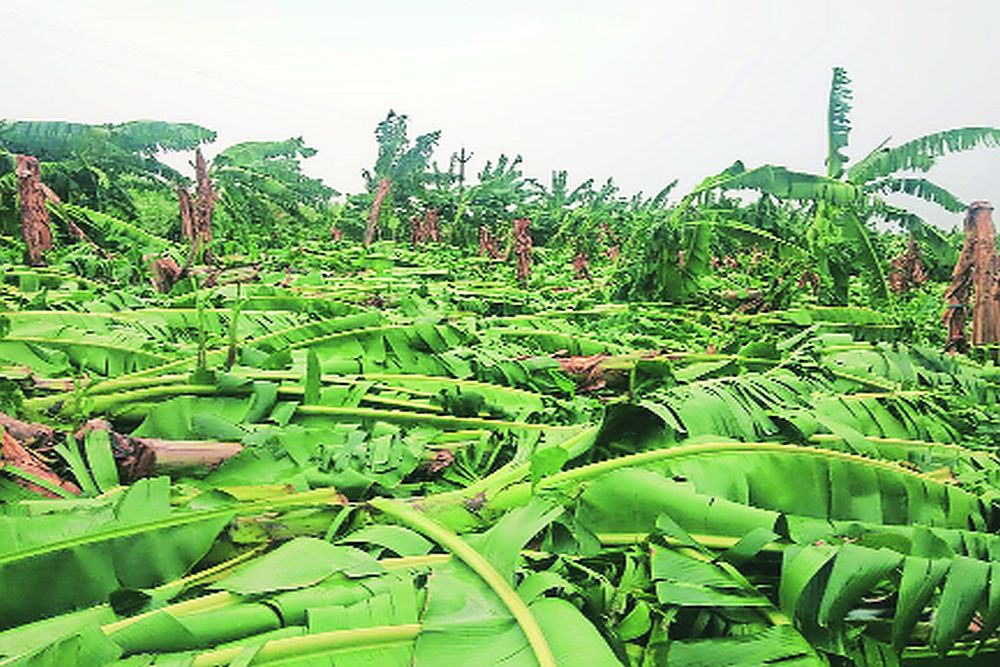 मोसमी पाऊस अरबी समुद्रात दाखल; राज्याला पूर्वमोसमी धारांचा तडाखा