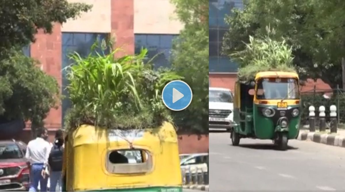 rickshaw garden on top