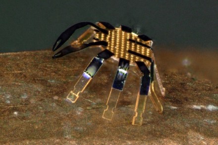 robotic_crab_tiny_nwuniversity_