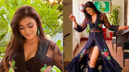 shweta tiwari hot photo, shweta tiwari viral photo,