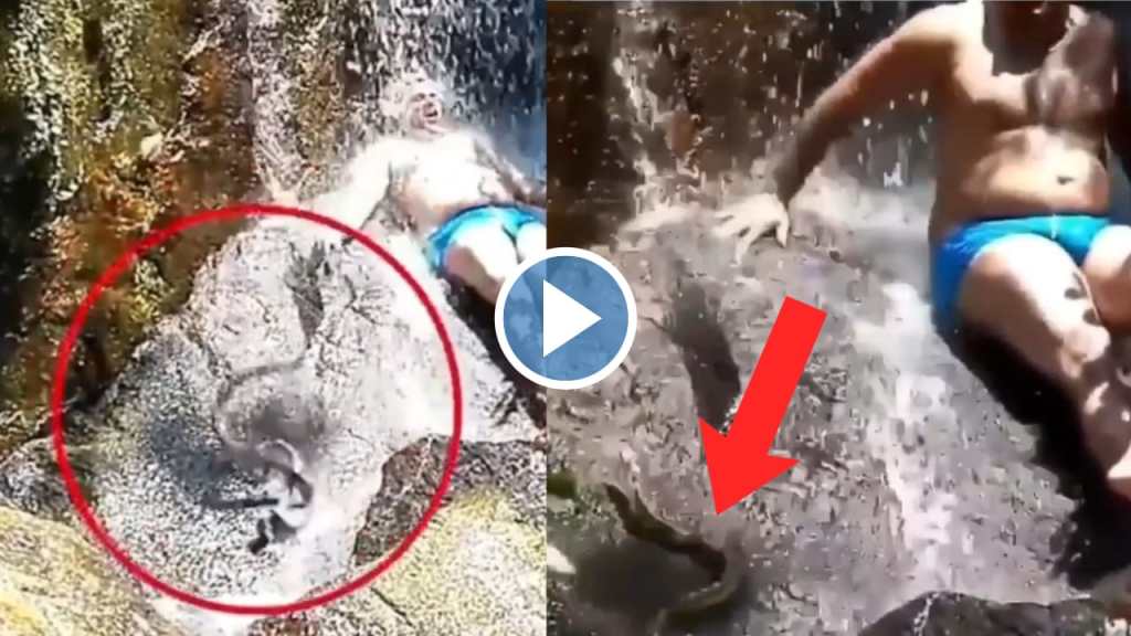 VIRAL VIDEO: धबधब्यात मौजमजा करणाऱ्या व्यक्तीजवळ अचानक पडला साप, अन्…