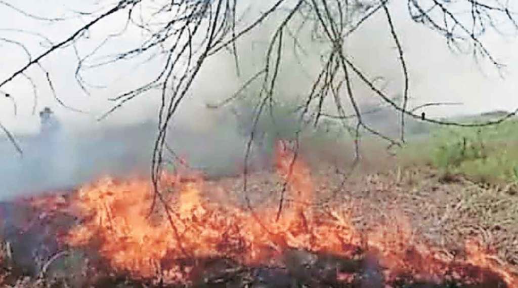 आगीत १२ लाखांचा ऊस खाक