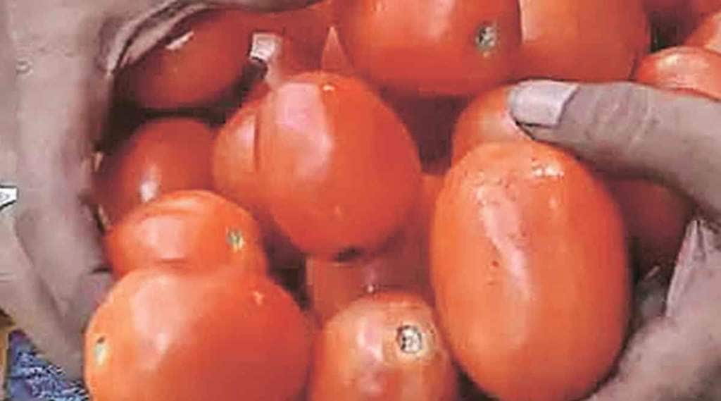 Tomato price hike